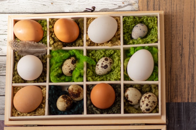 Are Your Eggs in the Basket? Funding Your Trust
